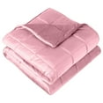 thumbnail image 1 of Weighted Blanket or Full Size 10lb (40" x 60") for Adults - Minky Fleece - Premium Heavy Blanket Nontoxic Glass Beads (Light , 40"x60"), 1 of 9
