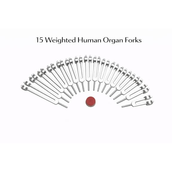 Radical INDIA Weighted Human Organ Tuning Fork Set for Sound Therapy and Meditation 15 Piece