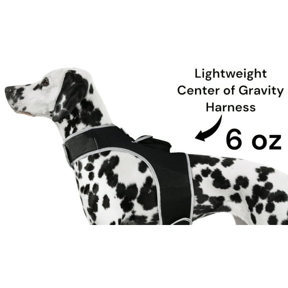 Secure Dogs Cats with Pet Tracker GSM GPS Phone Pet Tracker + Realtime App Size:M