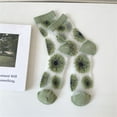 thumbnail image 1 of Weikingp Ankle Socks Wool Socks Womens Girls Socks Lace Mesh Crew Socks Transparent See Through Dress Sock Thin Nylon Summer Sock Crew Socks For Women Green One Size Clearance！, 1 of 3