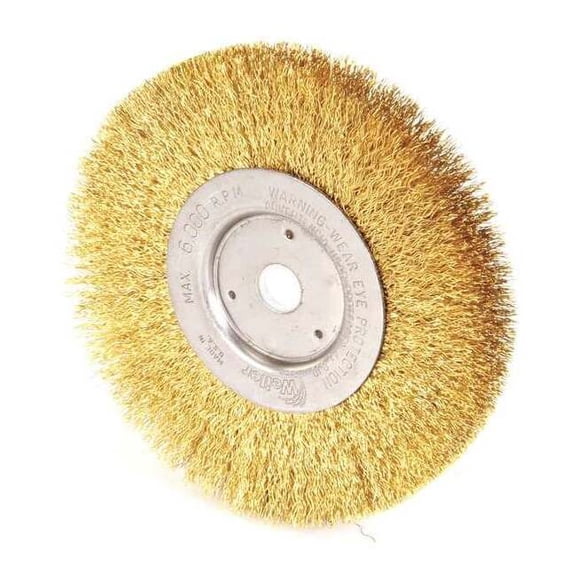 Weiler Crimped Wire Wheel Wire Brush, Arbor, 6" 93801