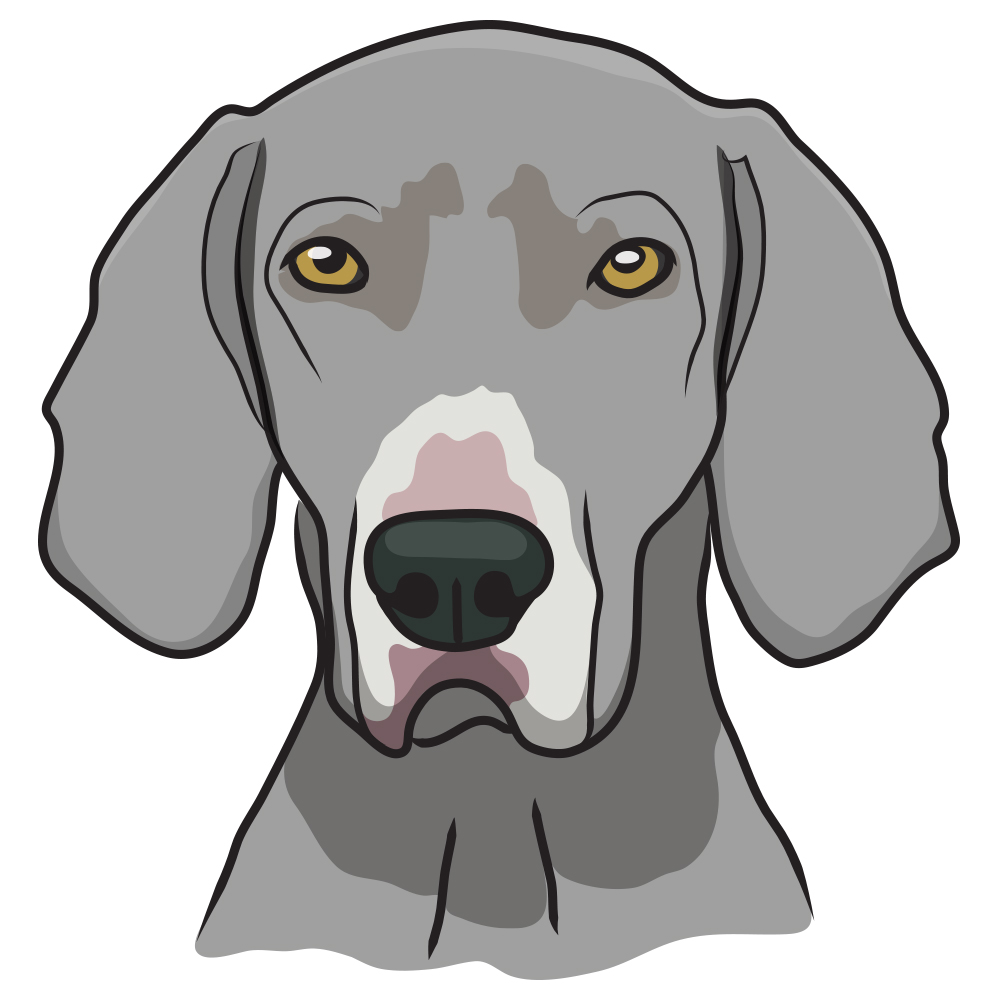 View of Image result for dog fabric loop risk