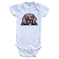 thumbnail image 1 of Weimaraner Dog Breed Cute Baby Bodysuit, 3-6 months white, 1 of 4