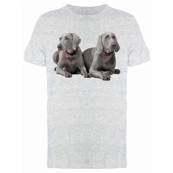 Weimaraner Dogs: Laid Down Tee Men's -Image by Shutterstock