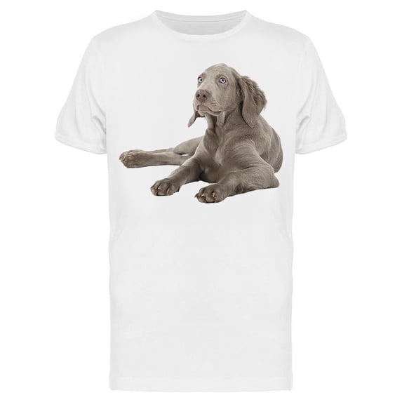 Weimaraner Puppy Laid Down Tee Men's -Image by Shutterstock