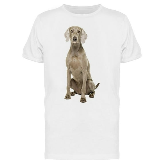 Weimaraner: Sits T-Shirt Men -Image by Shutterstock, Male x-Large