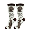 thumbnail image 1 of E&S Pets Weimaraner Socks - Life is Better Socks for Pet Lovers - Cute Unisex Socks - One Size Fits Most, 1 of 3