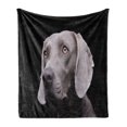 thumbnail image 1 of Weimaraner Soft Flannel Fleece Throw Blanket, Close-up Brownish Colored Dog Head Portrait on Plain Backdrop, Cozy Plush for Indoor and Outdoor Use, 60" x 80", Charcoal Grey and Dimgray, by Ambesonne, 1 of 5