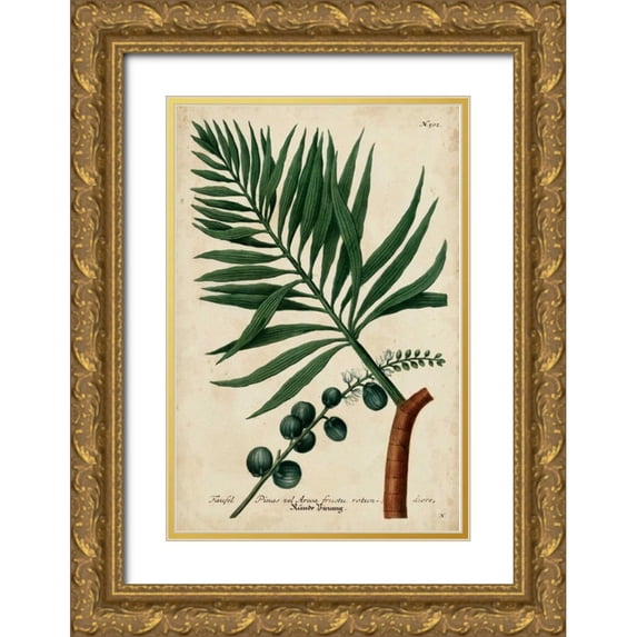 Weinmann 11x14 Gold Ornate Wood Framed with Double Matting Museum Art Print Titled - Vintage Tropicals IV