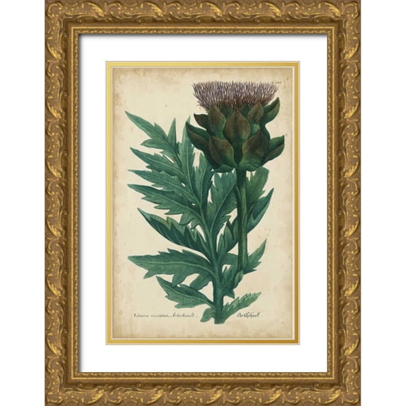 Weinmann 11x14 Gold Ornate Wood Framed with Double Matting Museum Art Print Titled - Weinmann Foliage and Fruit II