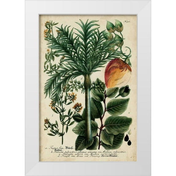 Weinmann 11x14 White Modern Wood Framed Museum Art Print Titled - Vintage Tropicals III