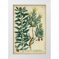 thumbnail image 1 of Weinmann 11x14 White Modern Wood Framed Museum Art Print Titled - Weinmann Foliage and Fruit IV, 1 of 4