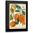 thumbnail image 1 of Weinmann 13x18 Black Modern Framed Museum Art Print Titled - Exotic Citrus I, 1 of 5