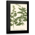 thumbnail image 1 of Weinmann 13x18 Black Modern Framed Museum Art Print Titled - Weinmann Leaves III, 1 of 5