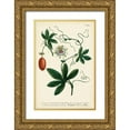 thumbnail image 1 of Weinmann 13x18 Gold Ornate Wood Framed with Double Matting Museum Art Print Titled - Antique Passion Flower III, 1 of 4