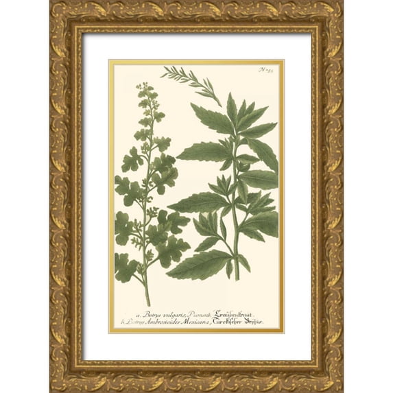 Weinmann 22x32 Gold Ornate Wood Framed with Double Matting Museum Art Print Titled - Weinmann Leaves III