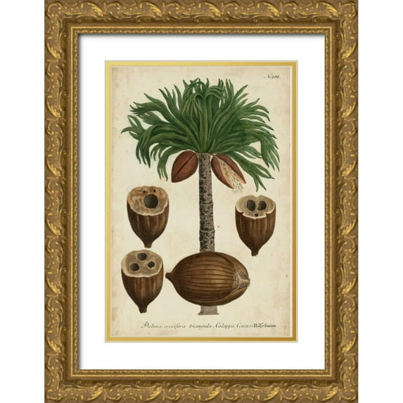 Weinmann 23x32 Gold Ornate Wood Framed with Double Matting Museum Art Print Titled - Vintage Tropicals I