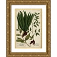 thumbnail image 1 of Weinmann 23x32 Gold Ornate Wood Framed with Double Matting Museum Art Print Titled - Vintage Tropicals VI, 1 of 4