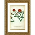 thumbnail image 1 of Weinmann, Johann W. 21x32 Gold Ornate Wood Framed with Double Matting Museum Art Print Titled - Aster, Plate 190, 1 of 4