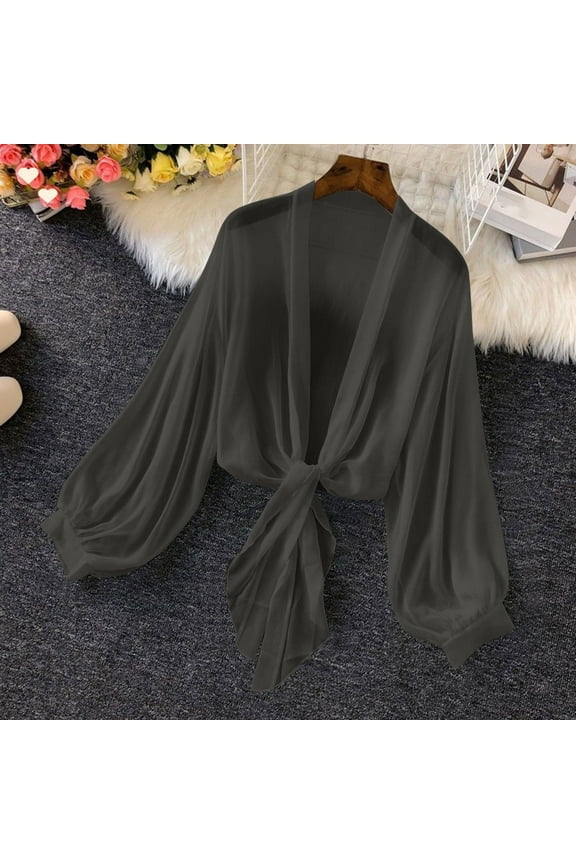 Women's Clothing Tie Front Tops Bow Sheer Lantern Long Sleeve Blouse Fashion Spring Summer Outfits