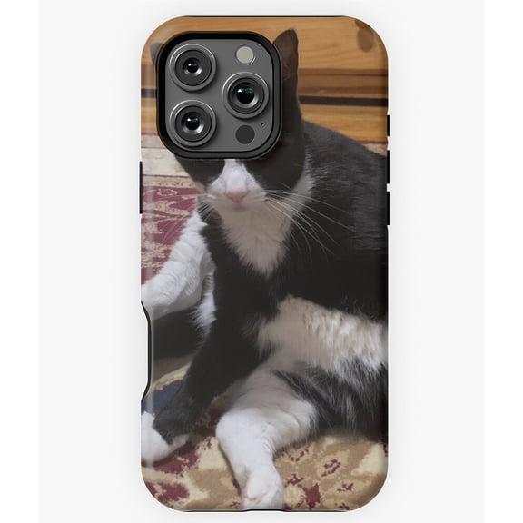 Weird Cat Sitting Position Funny M2754 Phone Case for iPhone 17 16 15 14 13 12 11 Pro Max