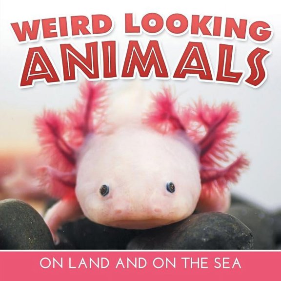 Weird Looking Animals On Land and On The Sea (Paperback)