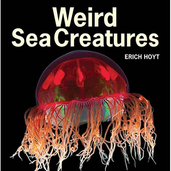 Pre-Owned Weird Sea Creatures Paperback
