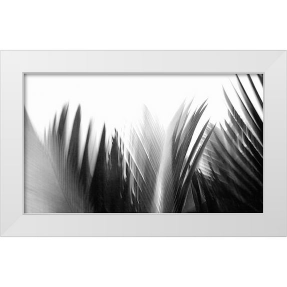 Weisbeck, Lena 24x16 White Modern Wood Framed Museum Art Print Titled - In the Green I - B-W