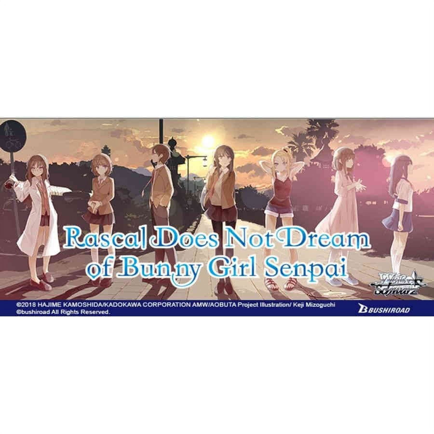 Rascal Does Not Dream of Bunny Girl Senpai is Getting a Sequel