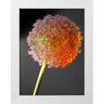thumbnail image 1 of Weissing, Gerd 15x18 White Modern Wood Framed Museum Art Print Titled - Naturform 2, 1 of 4