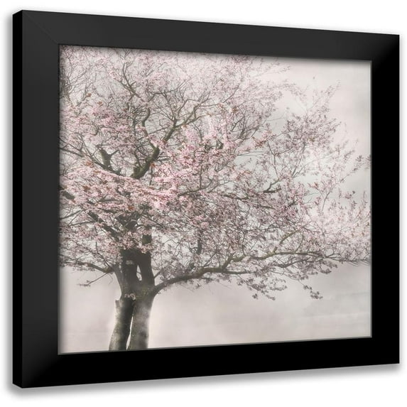 Weisz, Irene 12x12 Black Modern Framed Museum Art Print Titled - Blush in the Wind I