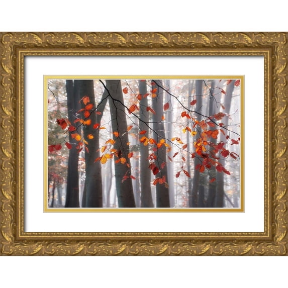 Weisz, Irene 14x11 Gold Ornate Wood Framed with Double Matting Museum Art Print Titled - Falling Moments