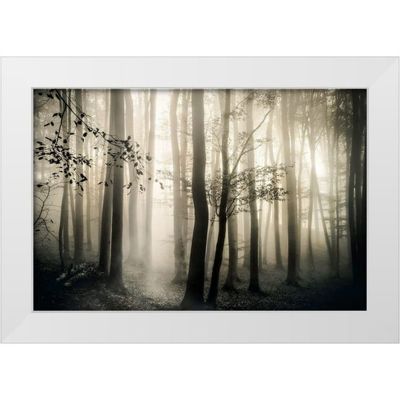 Weisz, Irene 14x11 White Modern Wood Framed Museum Art Print Titled - Light is Always