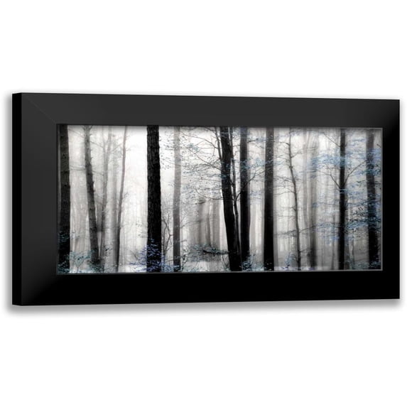 Weisz, Irene 14x9 Black Modern Framed Museum Art Print Titled - Waiting For Spring
