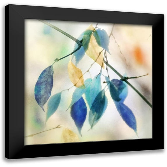 Weisz, Irene 15x15 Black Modern Framed Museum Art Print Titled - Colors for Joy I