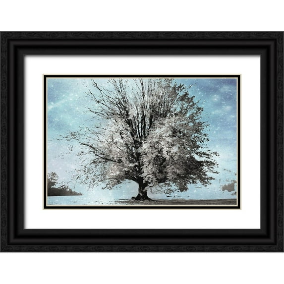 Weisz, Irene 18x13 Black Ornate Wood Framed with Double Matting Museum Art Print Titled - Season of Winter