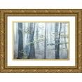 thumbnail image 1 of Weisz, Irene 18x13 Gold Ornate Wood Framed with Double Matting Museum Art Print Titled - Chalky Misty, 1 of 4