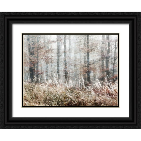 Weisz, Irene 18x15 Black Ornate Wood Framed with Double Matting Museum Art Print Titled - Always Magic in the Woods