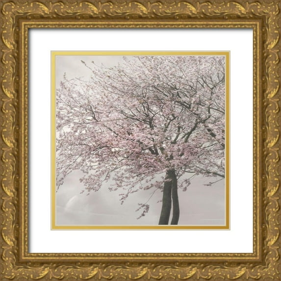 Weisz, Irene 20x20 Gold Ornate Wood Framed with Double Matting Museum Art Print Titled - Blush in the Wind II