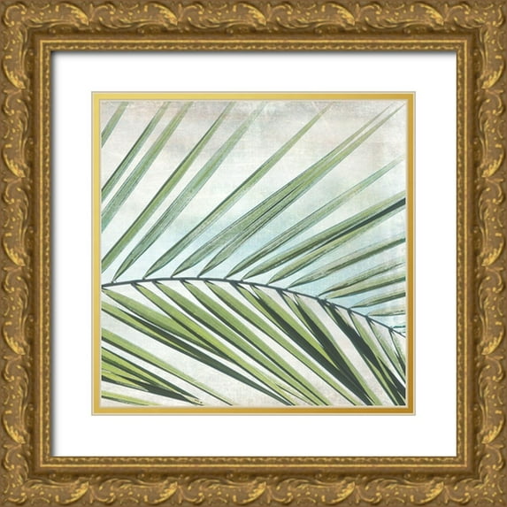 Weisz, Irene 20x20 Gold Ornate Wood Framed with Double Matting Museum Art Print Titled - Palm View II