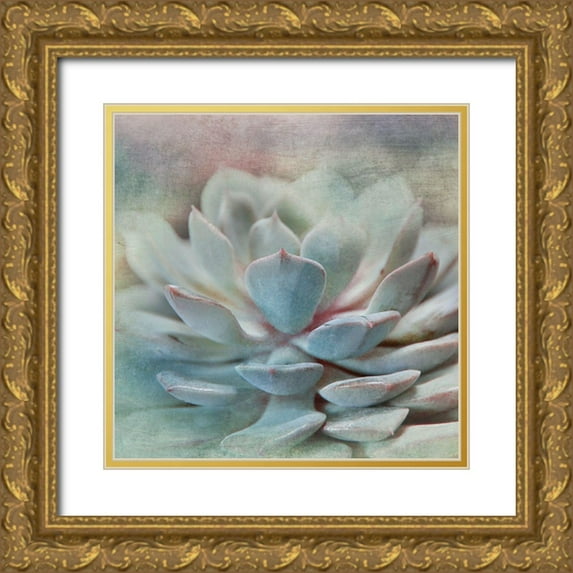 Weisz, Irene 20x20 Gold Ornate Wood Framed with Double Matting Museum Art Print Titled - Pastel Succulent I
