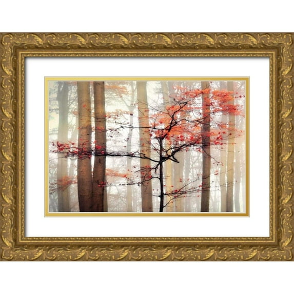 Weisz, Irene 24x17 Gold Ornate Wood Framed with Double Matting Museum Art Print Titled - Orange Awakening