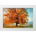 thumbnail image 1 of Weisz, Irene 24x17 White Modern Wood Framed Museum Art Print Titled - Autumns Passion, 1 of 4