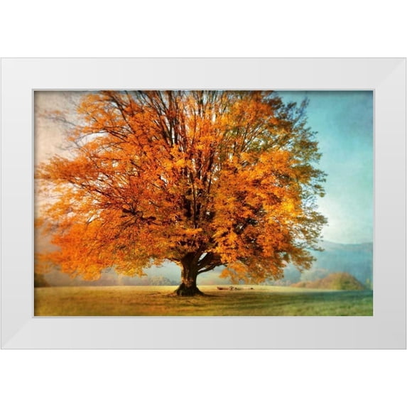 Weisz, Irene 24x17 White Modern Wood Framed Museum Art Print Titled - Autumns Passion