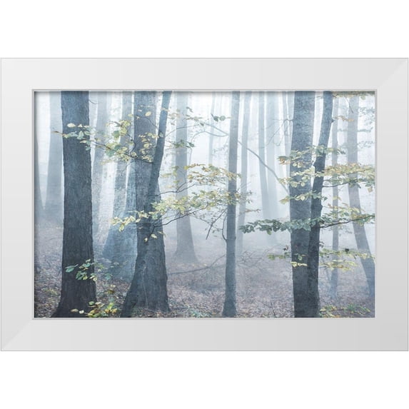 Weisz, Irene 24x17 White Modern Wood Framed Museum Art Print Titled - Chalky Misty