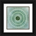 thumbnail image 1 of Weisz, Irene 26x26 Black Ornate Wood Framed with Double Matting Museum Art Print Titled - Kaleidoscope Succulent I, 1 of 4
