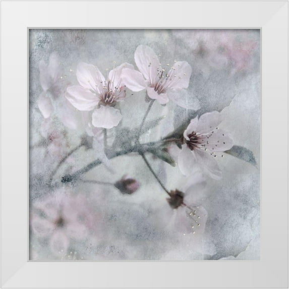Weisz, Irene 26x26 White Modern Wood Framed Museum Art Print Titled - Spring