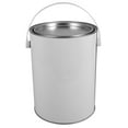 Weiweiguan Empty Metal Paint Can with Lid Paint Storage Container Empty