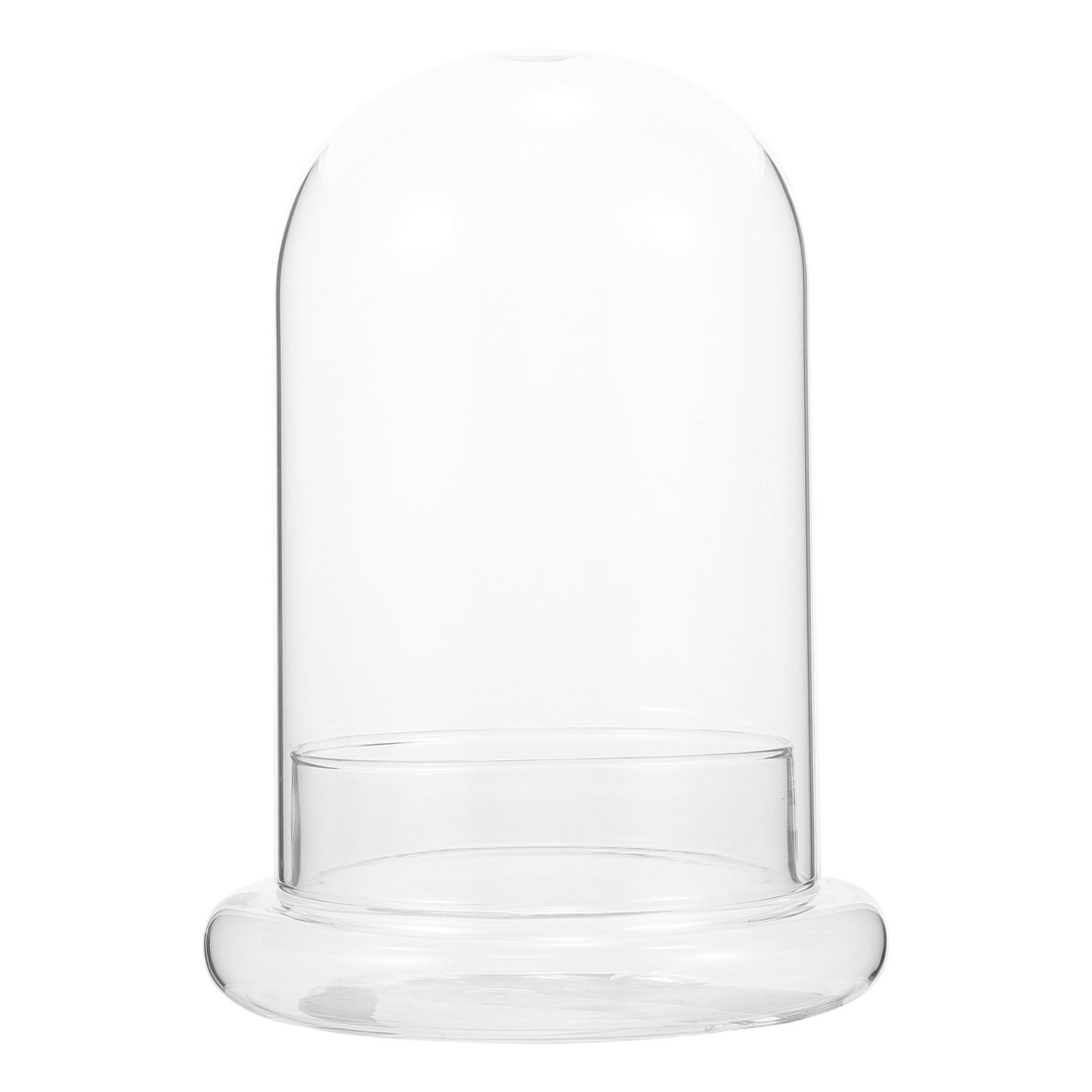 Weiweiguan Glass Terrarium Glass Planter Vase Clear Plant Holder Moss