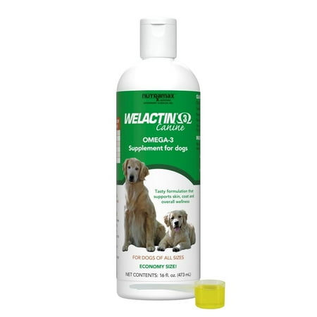 Nutramax Welactin Omega 3 Fish Oil for Dogs, Skin and Coat Health Supplement, Plus Joint, Immune, Kidney, and Brain Support, Premium Omega 3 Fatty Acids, For Dogs of all Sizes, 16 Ounce Liquid